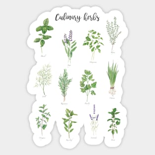 Culinary herbs Sticker